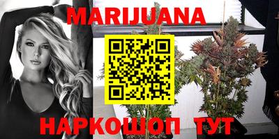 прущие крисы Ипатово
