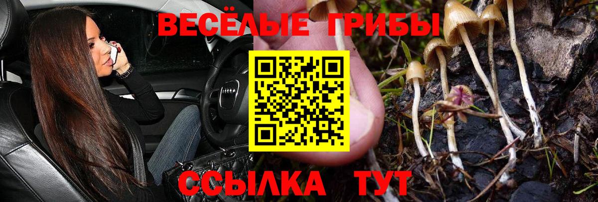 продажа наркотиков  Галлюциногенные грибы GOLDEN TEACHER  Вход с VPN  Нурлат 